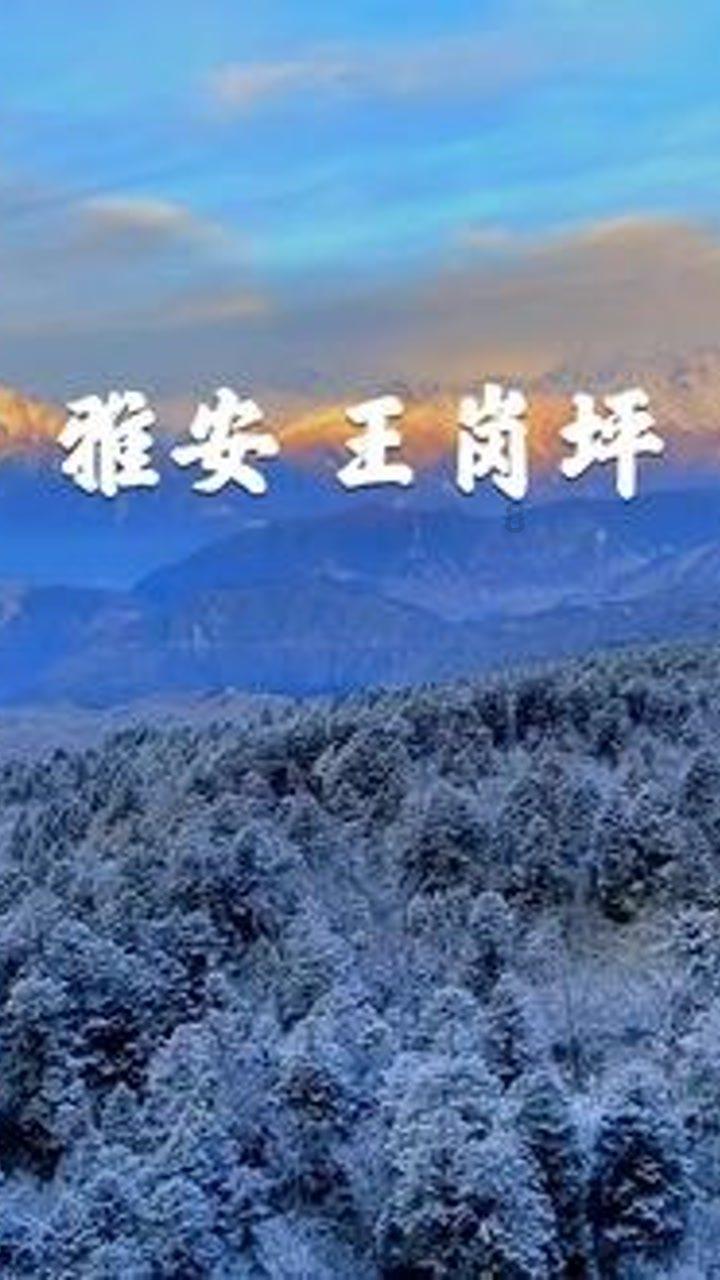 保定地区水果玉米一年可以种几次?- 专业有问必答平台